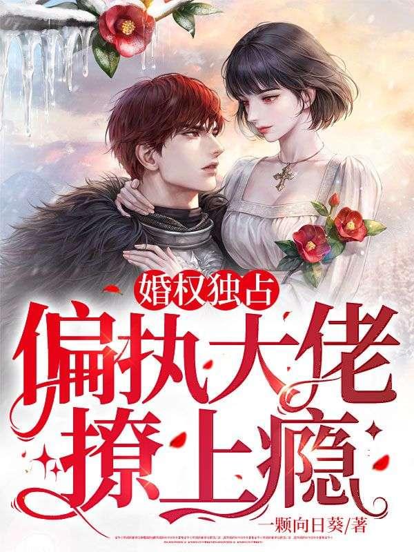 婚权独占：偏执大佬撩上瘾