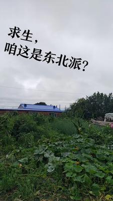 我从冥府退休后进了无限游戏攻受是谁