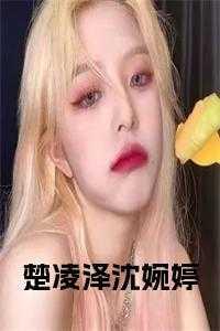 楚凌泽沈婉婷