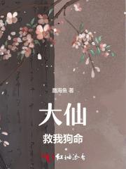 我就是神无错版