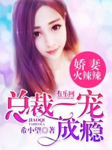 我老婆是导演